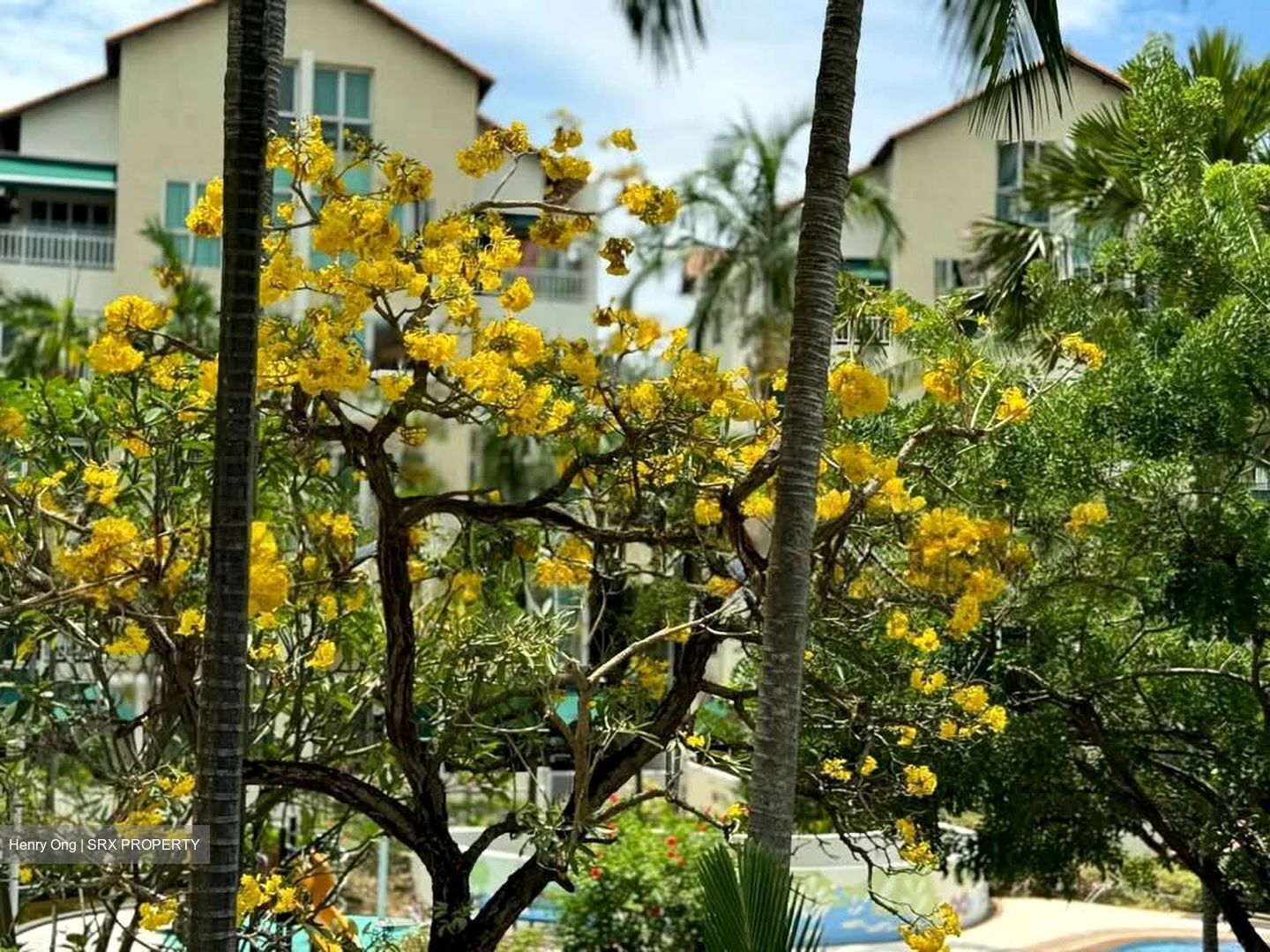 Country Park Condominium (D16), Condominium #562074741